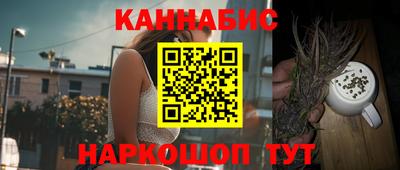 тгк Шебекино