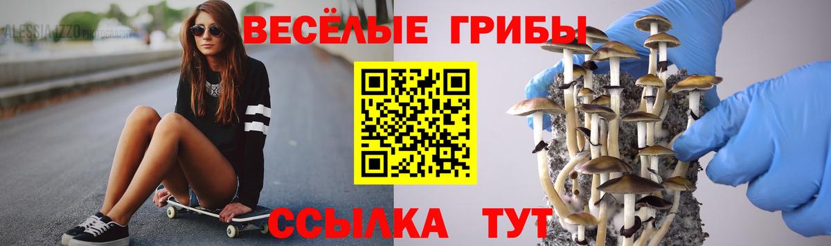 Псилоцибиновые грибы MAGIC MUSHROOMS  где купить наркотик  Богородск  Вход с VPN 